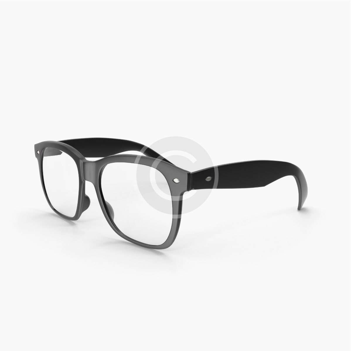 Succulent – Image 3