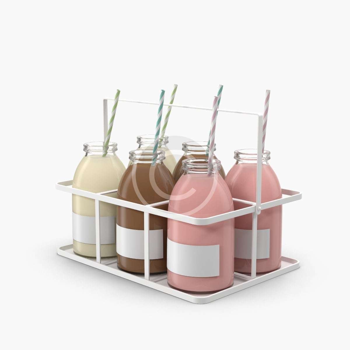 Succulent – Image 4